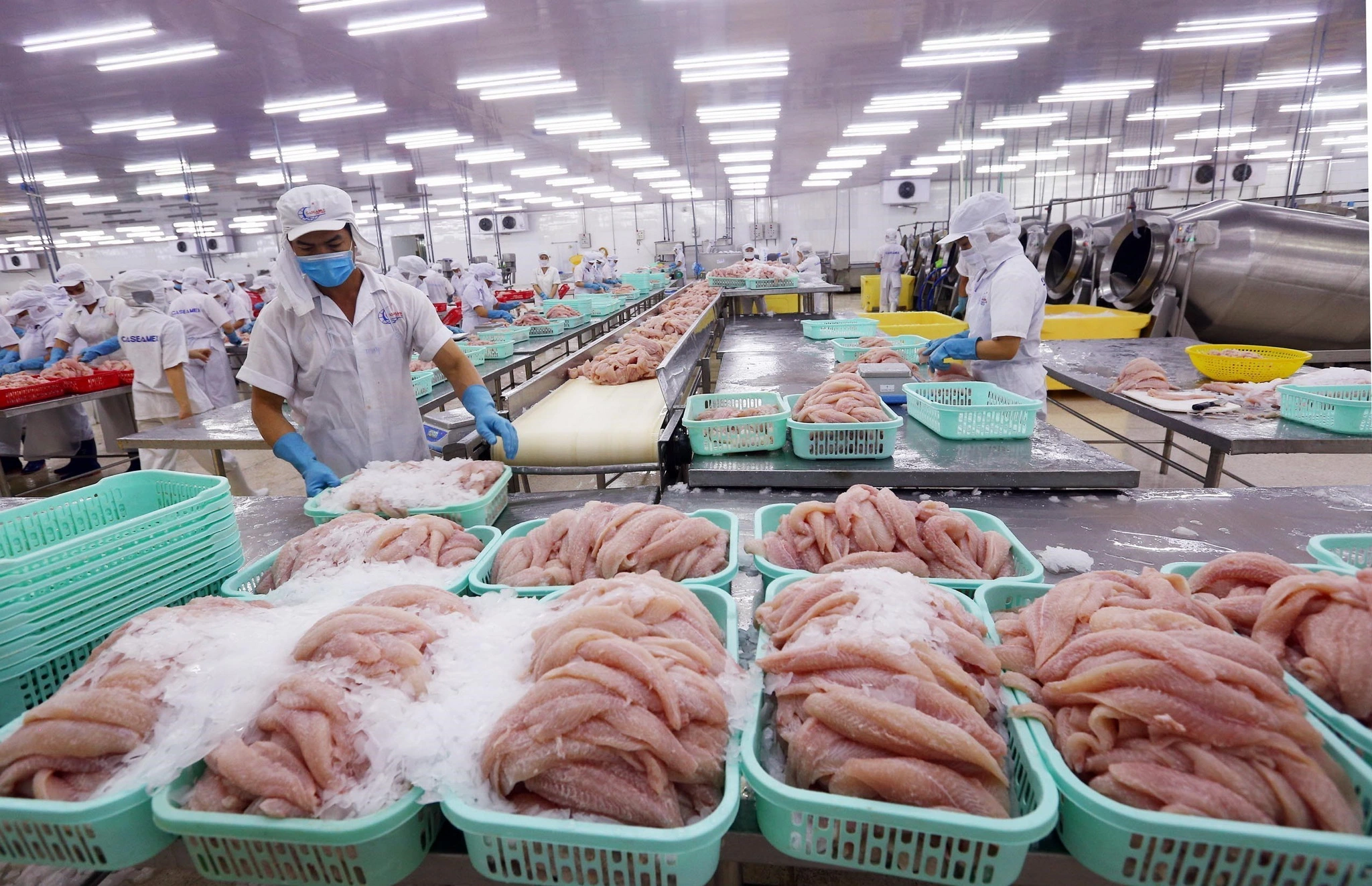 Xúc tiến xuất khẩu thuỷ hải sản